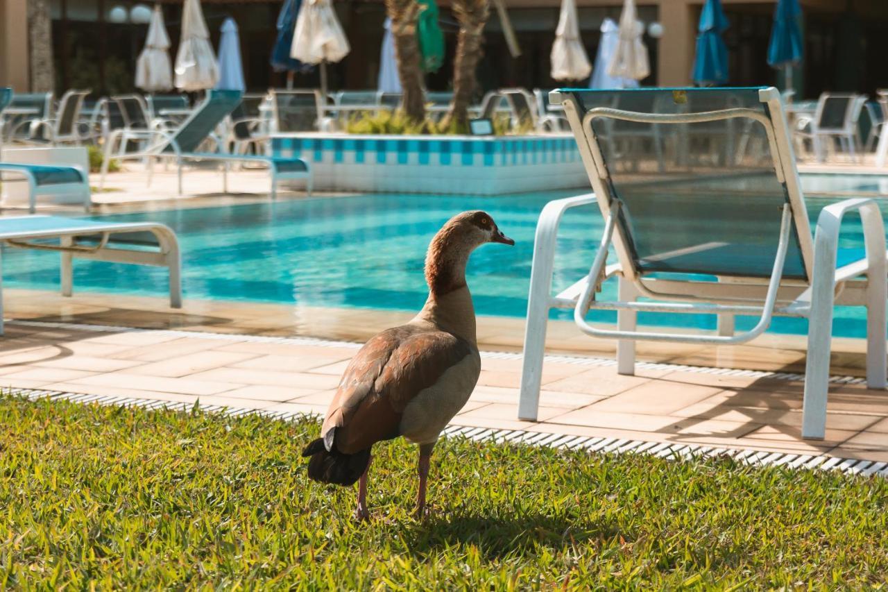 Villa Itaipava Resort & Conventions Kültér fotó
